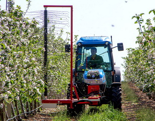 «Маїс» зменшує використання пестицидів у своєму плодовому саду